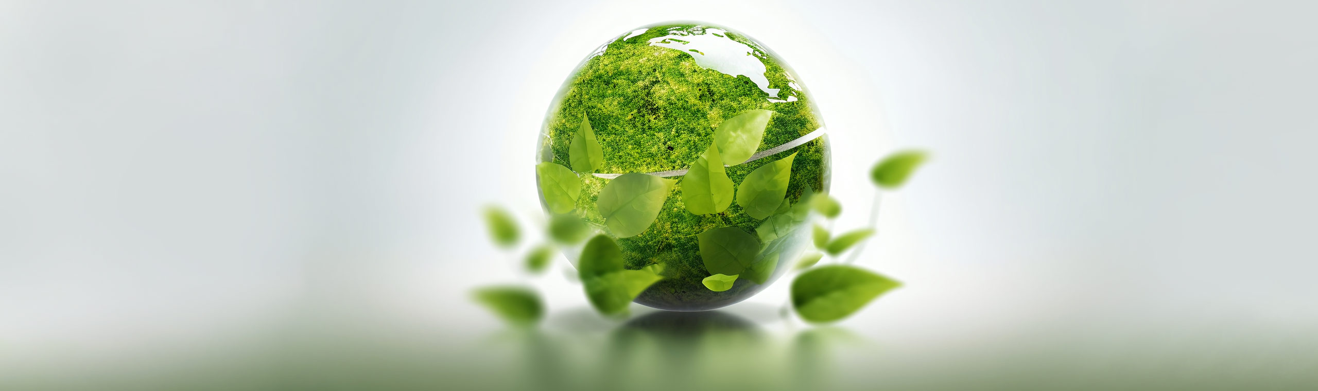 可持續(xù)發(fā)展