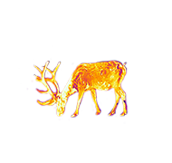 睿創(chuàng)·英睿