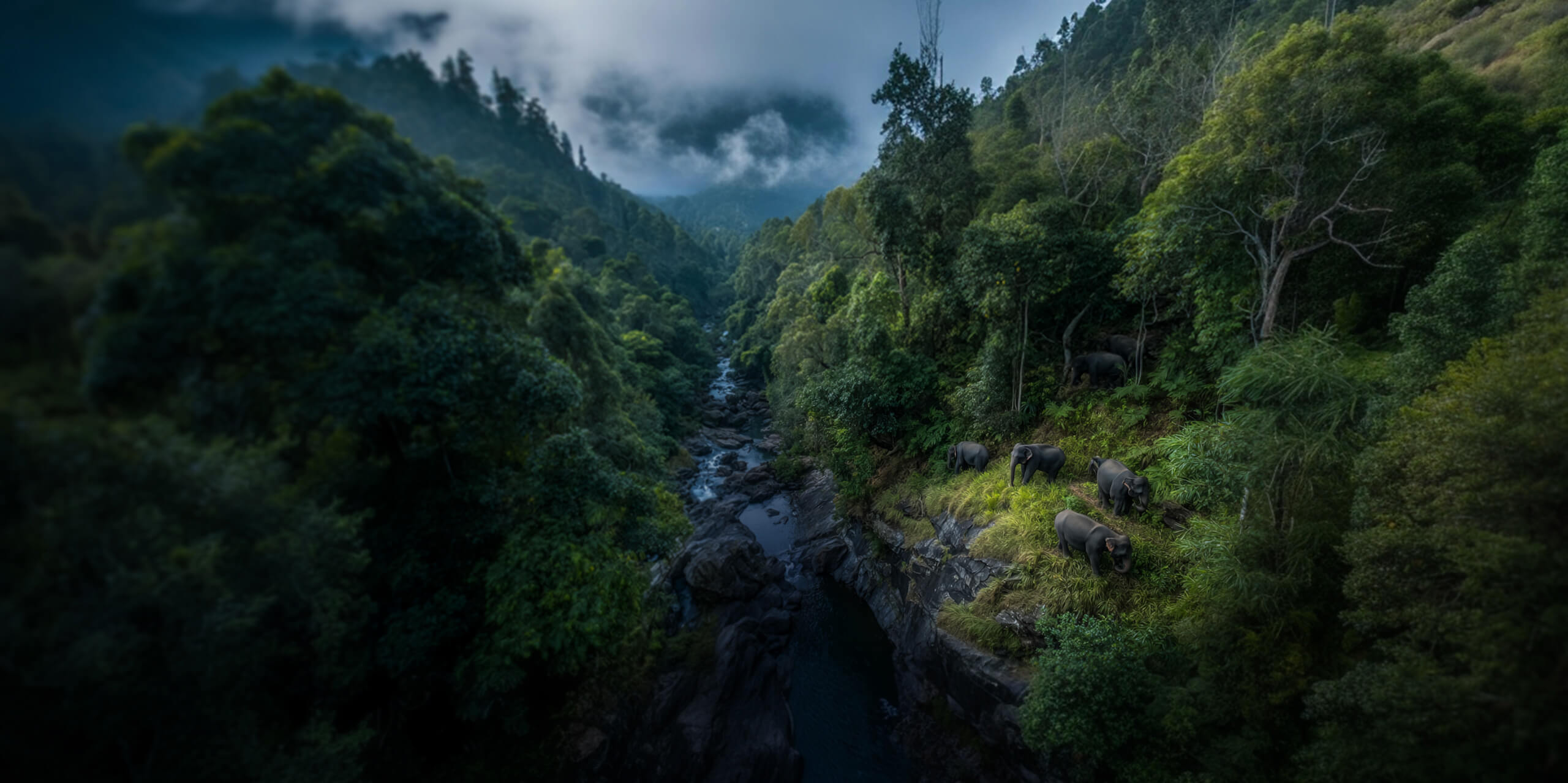 戶外運(yùn)動(dòng)解決方案